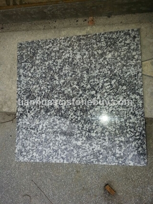 藍冰花荒料產品介紹 - 湖南天華石材優質花崗巖